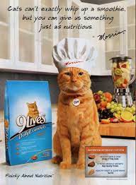 9lives Cat Food Magazine Advertisement 2010 Pet Advertising Cats Cat Food
