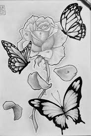 40 Beautiful Simple Butterfly Drawings In Pencil - Hobby Lesson | Rose and  butterfly tattoo, Butterfly sketch, Butterfly drawing