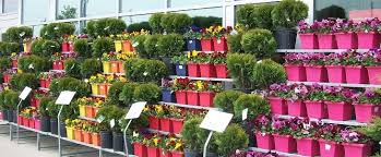 Send flowers for any occasion. Vre Systems Vre Greenhouse Systems Products