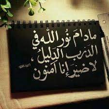 مادام نور الله في الدرب الدليل لا ضير إنا آمنون heartfelt quotes islam facts islamic quotes