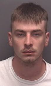 Man pleads guilty in fatal crash