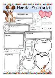 Check spelling or type a new query. Steckbrief Hunde Unterrichtsmaterial Im Fach Sachunterricht Schulhund Hund Steckbrief Hund Geburtstag