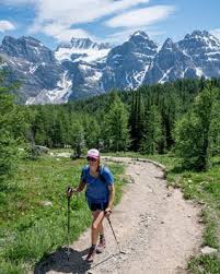 Hiking For Beginners Essential Hiking 101 Tips Bearfoot Theory Hiking Trip Hiking Hiking Tips