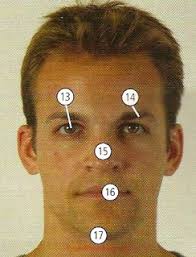 Human bosy parts, meaning and example sentences; Human Body Parts Pictures With Names Body Parts Vocabulary Leg Head Face