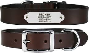 Get a custom dog collar with name engraved that's designed to last our custom, personalized engraved dog collars are highly functional and super stylish! Amazon Com Gotags Leather Dog Collar With Rivet On Nameplate In Stainless Steel Personalized Engraved Name Plate Id Tag On Soft Brown Leather Dog Collar For Small Medium And Large Dogs Dark Brown