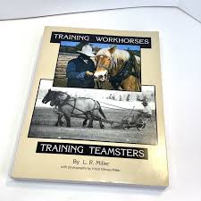 نتیجه جستجوی لغت [workhorses] در گوگل