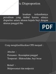 Agrobacterium tumefaciens is the most commonly studied species in this genus. Pemeriksaan Panggul