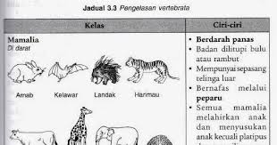 Namun, tak sedikit peternak lovebird yang mengalami kesulitan dalam menangkar burung paruh. Berikut 11 Haiwan Bertelur Paling Update