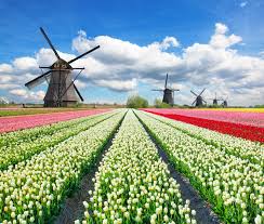 Your passport should be valid for at least three months beyond the period of stay. Netherlands New Employment Law Regulations In 2017 Kliemt Blog
