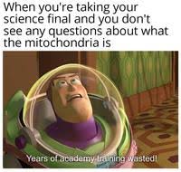 Mitochondria is the powerhouse of the cell poem. Mitochondria Is The Powerhouse Of The Cell Know Your Meme