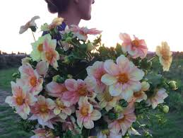 As a result some of the flowers listed in our seasonal guides may not be available at a certain time. Seasonal Flower Alliance September 14 Floret Flowers