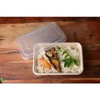 34oz Compostable Eco Friendly Container Trays - Rectangular Oblong Tree Free Sugarcane Bagasse Meal Prep Bento Boxes Take Out Catering Microwavable ...