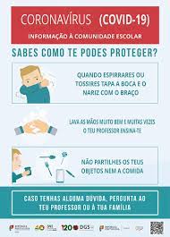 Covid vaccine card pdf direct download how to print correctly. Coronavirus Covid 19 Informacoes E Recomendacoes Gerais