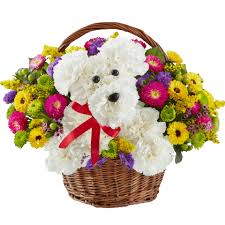 Discover and share the best gifs on tenor. Happy Teddy Bear Sticker By 1800flowers For Ios Android Giphy