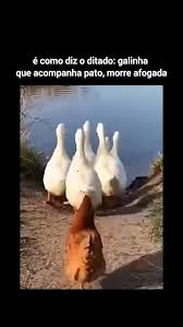 grandes pensamentos da humanidade