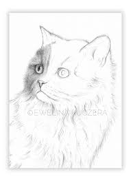 It's been way too long since i last did a graphite drawing tutorial, so today i'm showing you how to draw realistic black fur using graphite and bl. How To Draw A Cat Tutorial Realistic Cat Drawing Realistic Animal Drawings Drawings
