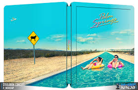 When carefree nyles and reluctant maid of honor sarah have a chance encounter at a palm springs wedding, things get complicated as they are unable to escape the venue, themselves, or each other. Palm Springs 2020 Hi Def Ninja Pop Culture Movie Collectible Community