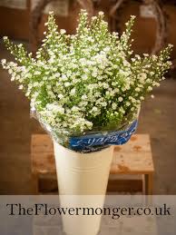 White September Flower Available In Bunches Of 5 Stems From The Flowermonger The Wholesale Floral September Flowers Cream Wedding Flowers Diy Wedding Flowers