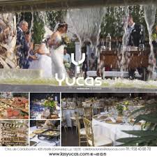 Check spelling or type a new query. Bodas Unicas En Las Yucas Hotel Las Yucas