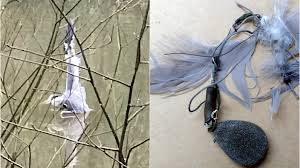 You do not need an advanced guide. Heron Found Hanging By His Wing Caught In Fishing Line Itv News Wales