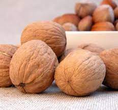 English Walnut Trees Carpathian Walnuts Walnut Tree English Walnut Walnut