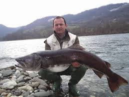 Haški optuženik i general vrs tvrdi da odgovornost za smrt njegove ćerke ide sa srpske strane, a ne muslimanske. Miso Vasic Mladica Lonjin Gde Na Pecanje