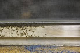 Cleaning Oxidized And Moldy Aluminum Window Frames Aluminium Windows Window Frames How To Clean Aluminum
