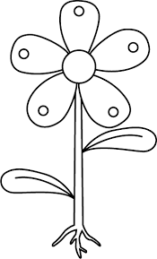 Unlabeled Flower Diagram Clipart Library Clip Art Library In 2020 White Flowers Garden Parts Of A Flower White Gardens