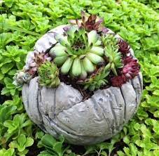 Im winter draußen leer machen und kein wasser drinnen lassen. Kreative Mitbringsel Aus Beton Betonkugeln Pflanzen Gartenskulptur