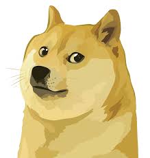 And lastly, that can be very different from exchange to exchange since you dont know how many. Download Shiba Jamaica Inu National Doge Cryptocurrency Dogecoin Hq Png Image Freepngimg