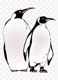 Pypus is now on the social networks, follow him and get latest free coloring pages and much more. Pinguin Png Images Pngegg