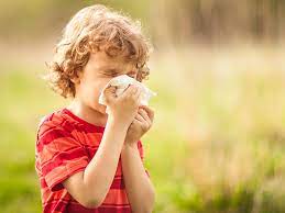 Hay Fever In Children And Teenagers Raising Children Network