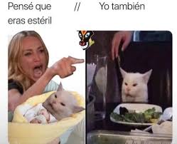 Pin En Meme Gracioso