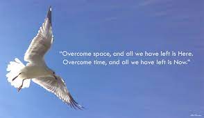 Check spelling or type a new query. 8 Johnathan Livingston Seagull Quotes Ideas Livingston Seagull Jonathan Livingston Seagull Quotes