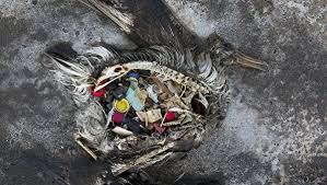 Un fenómeno consistente en una gran masa de detritos artificiales, que cubre un área total de suelo submarino correspondiente a más de 1.400.000 kilómetros cuadrados. Cinco Paises De Un Solo Continente Tiran Mas Plastico En El Oceano Que Todo El Resto Del Mundo 24 09 2019 Sputnik Mundo