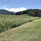 Pollinator habitat restoration and impacts on event image