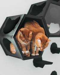 What are cat climbing walls? Modern Cat Furniture Doubles As Geometric Wall Art And Accessories