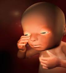 Image result for PREGNANT BABY PICS