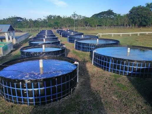 Tanques y geomembranas
