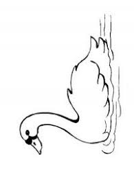 Spread the oil and meat at the bottom of the pot. Ausmalbilder Kostenlos Malvorlagen Anmalen