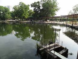 Mancing di kolam air masin kolam 4 sealion trip ke 3. 6 Kolam Pancing Ini Adalah Port Terbaik Buat Kaki Pancing Lepaskan Gian