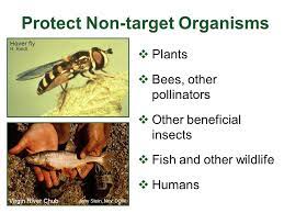 Pesticides In The Environment Ppt Download