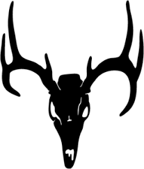 Black And White Deer Skull Deer Skull Decal Stod 3 Whitetail Buck Stickers Skull Decal Deer Skulls Deer Decal