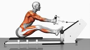 Seated Art &amp; Collectibles Sculpture morphbotics.com