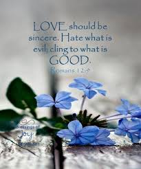 Romans 12:21 esv / 865 helpful votes. Pin By Carolyn Copeland On A Servants Heart What Is Evil Romans 12 9 Evil