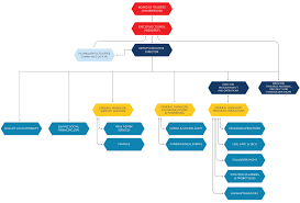 Organization Chart Mercy Malaysia