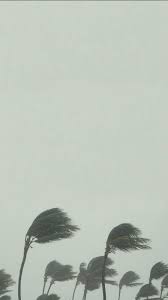 Uicideboy wallpaper rapper wallpaper iphone trendy wallpaper cute wallpaper backgrounds cute wallpapers scary wallpaper billie eilish lil skies hollywood undead. Suicideboys Greygrey G59 Grey Grey Ruby Scrim Suicideboys Hd Mobile Wallpaper Peakpx
