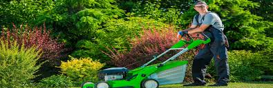 People always think that lawn fertilizing building a relationship with your professional lawn care provider is great because you will always know you can count on them to keep your yard. 5 Benefits Of Professional Lawn Care Services