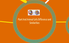Check spelling or type a new query. Animal Cells And Plant Cells Similarities And Differences By Marcus Sangha