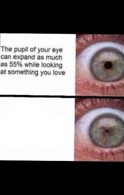 S To The I To The M To The P Meme Template Shrinking Pupil Meme Template Blank Memes Create Memes